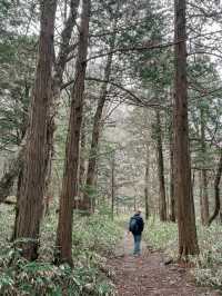 เดินเทรลในป่าสุดโรแมนติกที่ Kamikochi🌿❄️