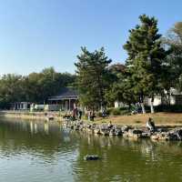 「2024年春天好去處：人民公園花海，歷史底蘊與園林風光」