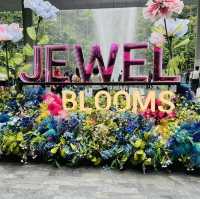 Jewel Blooms at Jewel Canopy Park