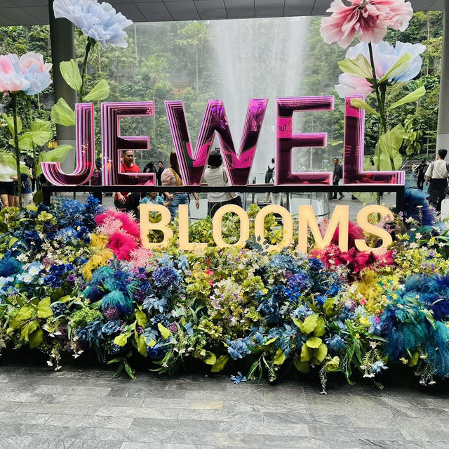 Jewel Blooms at Jewel Canopy Park
