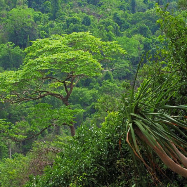 จุดชมวิวผาแดง อช.ตราพระยา