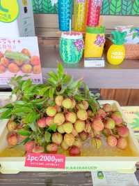 【沖縄・石垣】鬼リピ確定！島フルーツジュース🍹💕