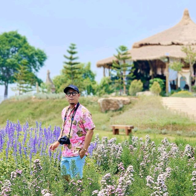 แจกพิกัดคาเฟ่ทุ่งดอกไม้ เขาใหญ่ เปิดใหม่ล่าสุด