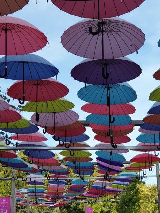 Pocheon Herb Island 
