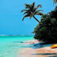 🏖️ Beach Relaxation at Plumeria Maldives 