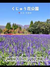 【大分】行ってよかった大分のおすすめスポット7選