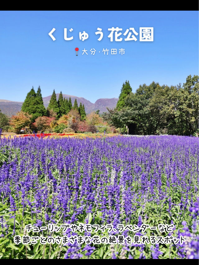 【大分】行ってよかった大分のおすすめスポット7選
