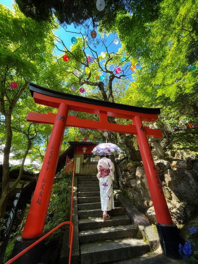 絶対行きたくなる❣️京都の映え紫陽花スポット☺️💠💐