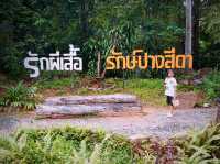 ดูผีเสื้อ อุทยานแห่งชาติปางสีดา จ.สระแก้ว