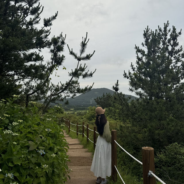 제주에서 가장 예쁜 가볍게 오르기 좋은 오름 ✨