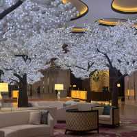 最先端の韓国旅