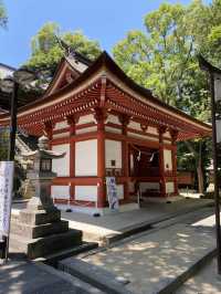 【岡山】参拝は北の参道からがおすすめ吉備津神社 重要文化財〈北随神門〉