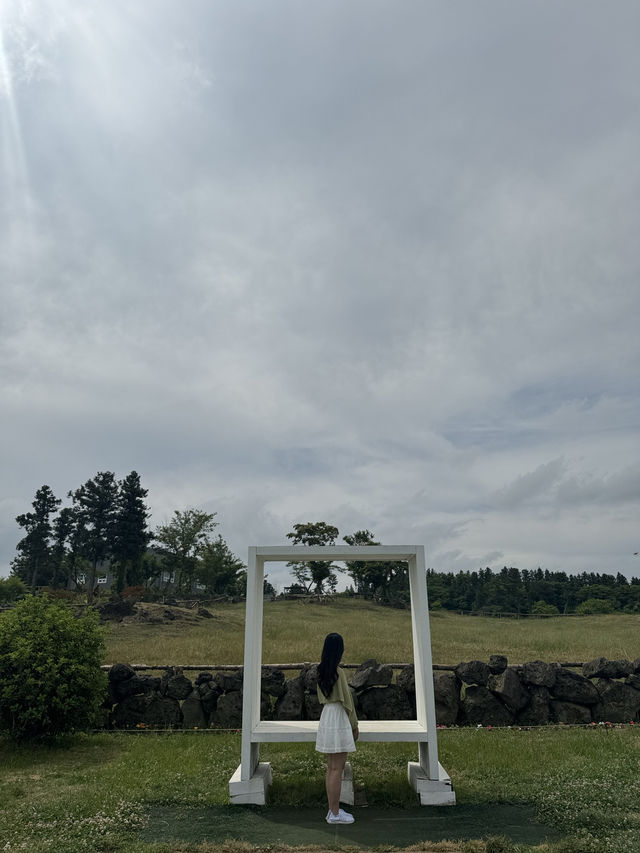 귀여운 젖소들을 아주 가까이에서 볼 수 있는 이색 목장 ✨