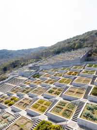 本当は誰にも教えたくない淡路島の無料フォトスポットを4つ紹介📸グランドニッコー淡路