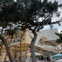 Busan-WAVEON COFFEE