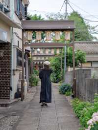 【東村山】絶景！菖蒲祭り