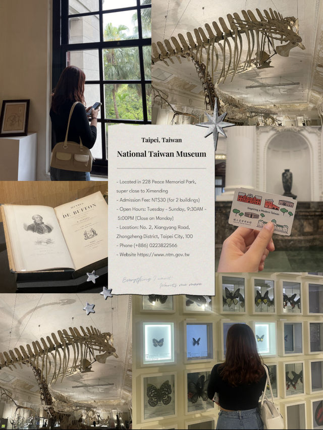 National Taiwan Museum🏛️