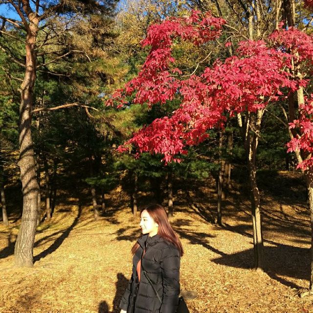 단풍이 피는 계절엔 원적산으로