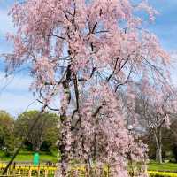 大阪休閒的好去處...花博紀念公園鶴見綠地