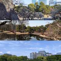 東京皇居東御苑：美麗庭園、歷史建築，遊客休閒理想去處