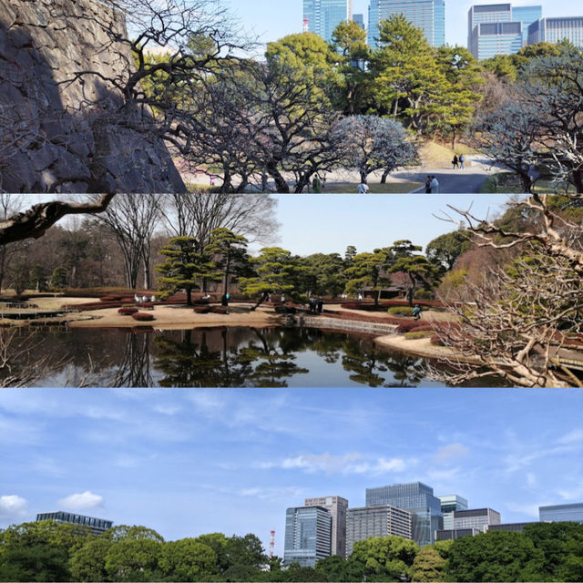 東京皇居東御苑：美麗庭園、歷史建築，遊客休閒理想去處