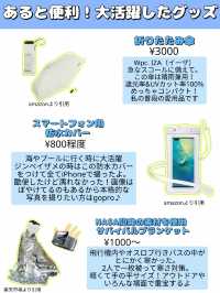 大迫力！野生のジンベイザメと泳ごう