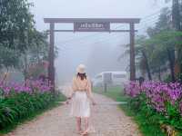 อีต่อง – ปิล็อก ไปเที่ยวกี่ทีก็หลงรัก