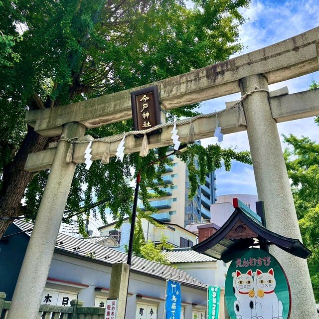 日本招財貓發源地 -不求財，求良緣！
