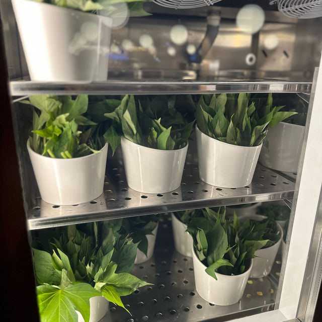 🌟 旺角一鍋堂· $148高性價比火鍋放題 🌟