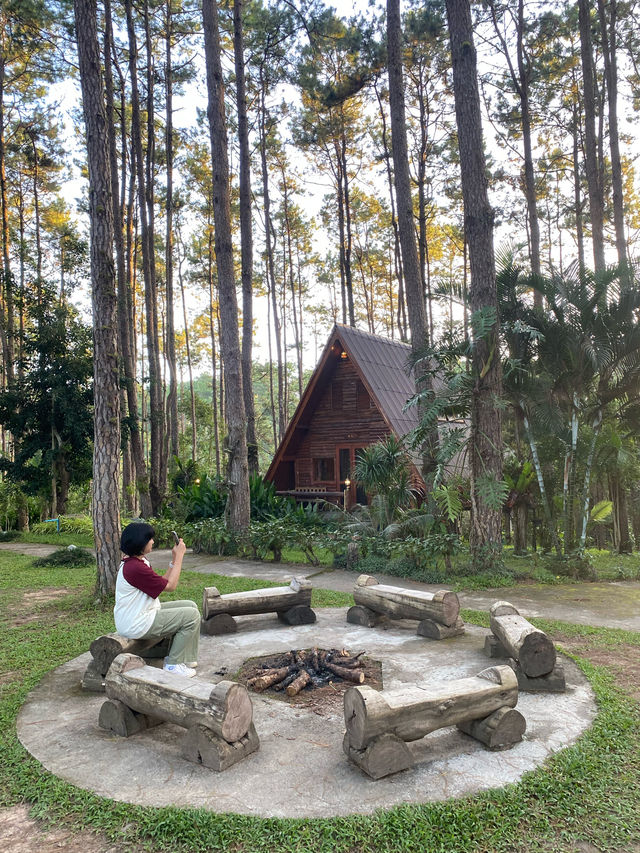 ฤดูฝนที่สวนป่าดอยบ่อหลวง 🏡🪵🌲🔥
