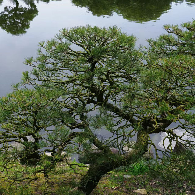 福岡三寶院：歷史古蹟，禪意氛圍，感受大自然恬靜與祥和
