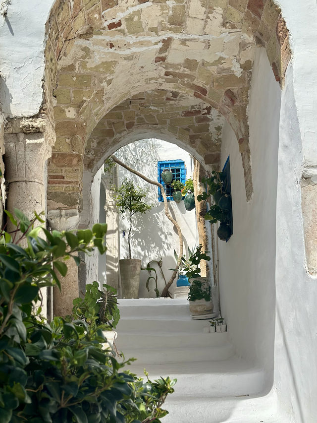📍Sidi Bou Said, Tunisia 🇹🇳 