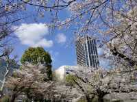 【東京】上野公園🔥：魯迅筆下的緋紅輕雲，享受東京慢生活🏖️🏖️