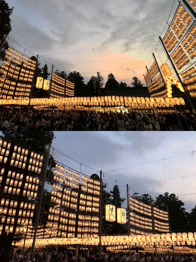 【滋賀】約1万個の提灯が灯される夏の風物詩