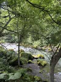 💚 홋카이도의 여름 산의 자연경관을 흠뻑 느껴보실 수 있는 명승지 스팟 🏞️💚
