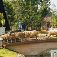 เที่ยวขอนแก่น Khonkaen Exotic Pets & The fountain 