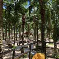 Baan Chang Cafe’ at Krabi🐘☕️🌿🌴🌴