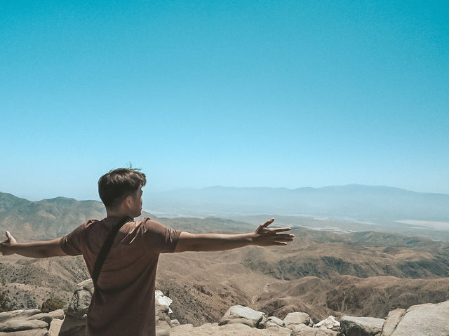 🇺🇸 Visit Joshua Tree National Park