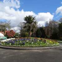 Belfast Botanic Gardens: A Green Haven in the City
