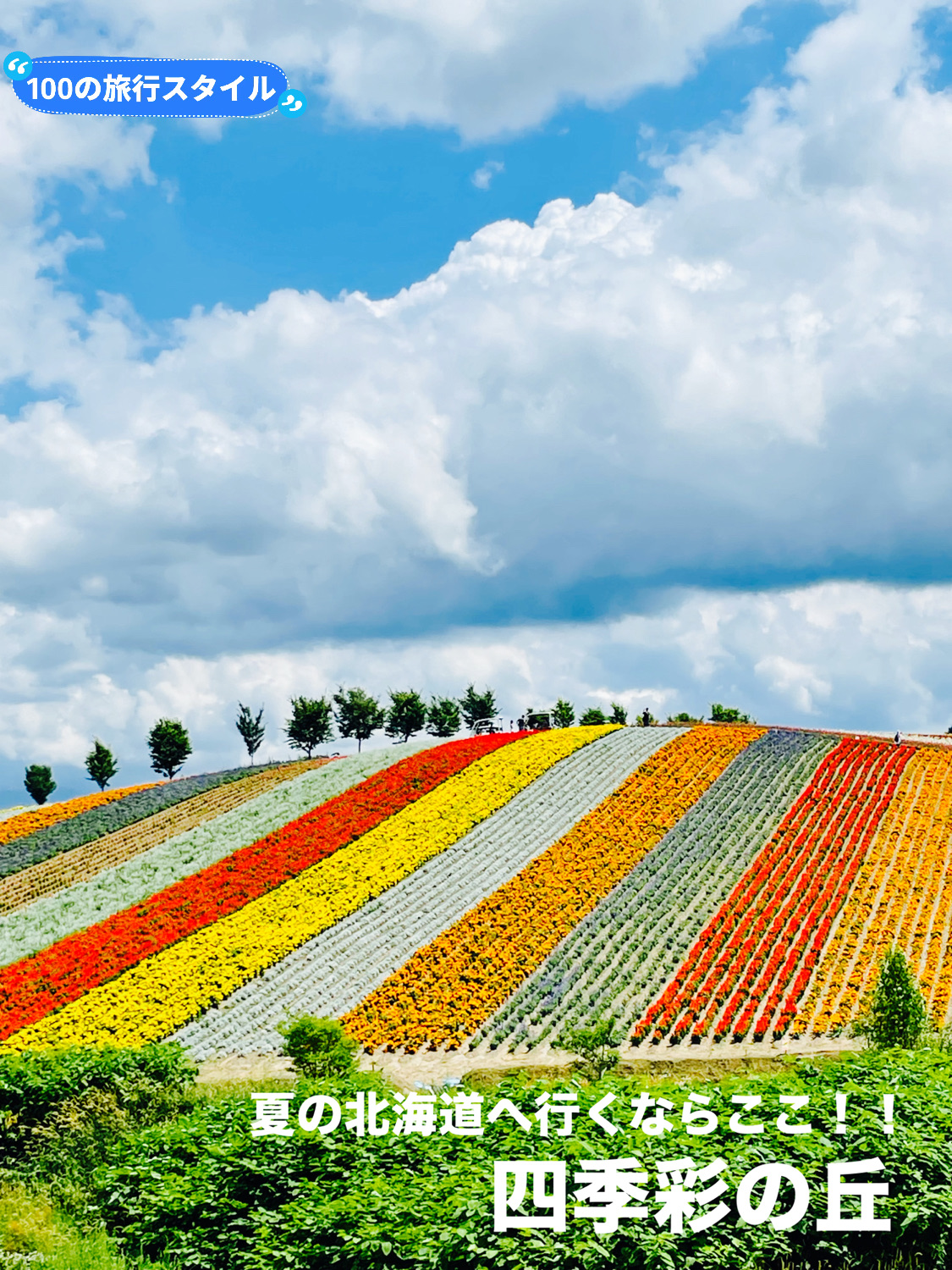 最新】四季彩の丘 - チケット、営業時間、口コミ、写真 [2025年] Trip.com