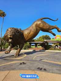 《動物園》【聖地亞哥動物園】超過800種動物，適合親子互動