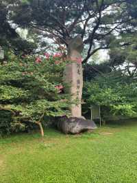 독특한 분위기 가득한 남해 가볼만한 곳💚