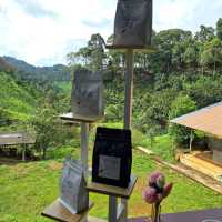 Matsika Coffee Farm บ้านปางขอน