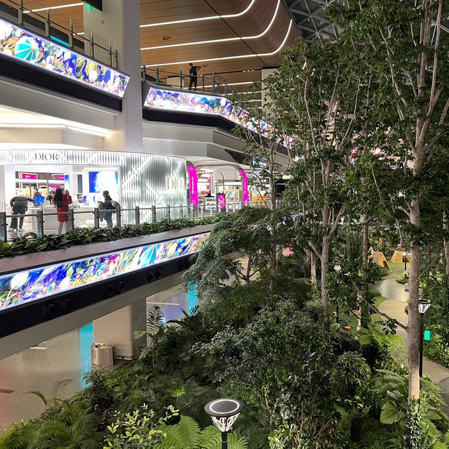 공항 내에 대형 식물원이 있는 카타르 도하국제공항!