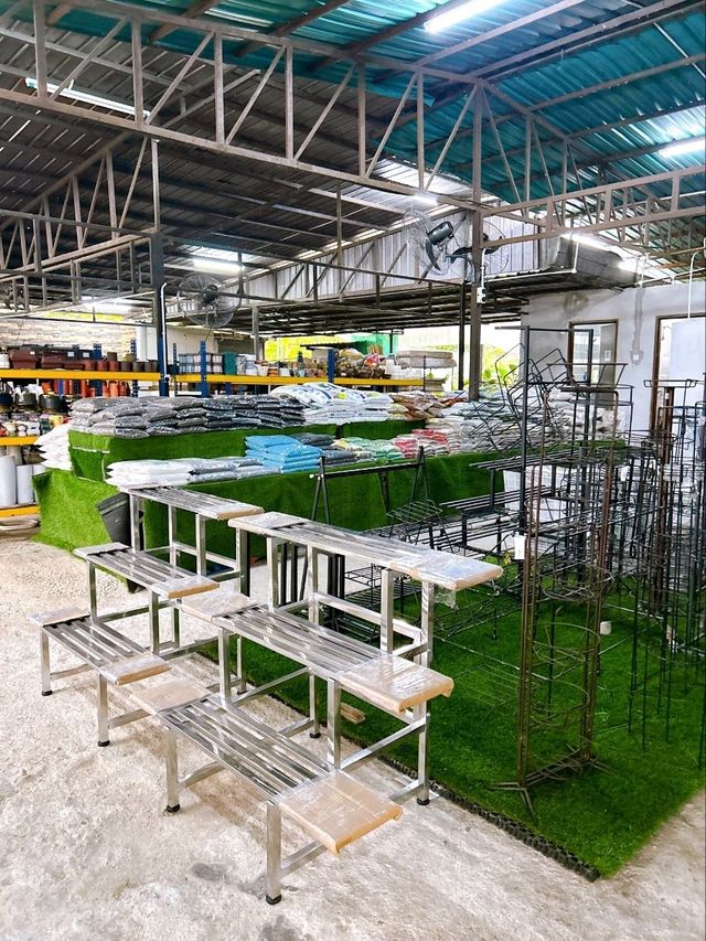 Transforming Spaces with AGRO Nursery’s Landscaping Service