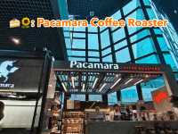 🍰🌻: Pacamara Coffee Roaster