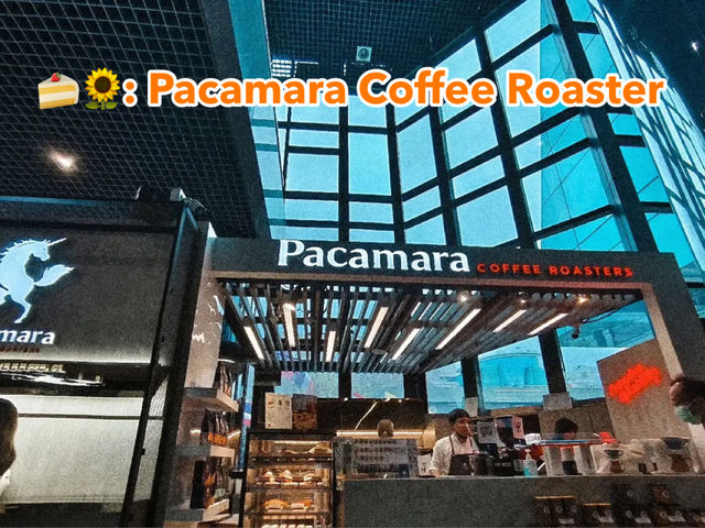 🍰🌻: Pacamara Coffee Roaster