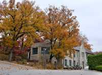 Ehwa Womans University หนึ่งในมหาลัยที่สวยที่สุดในโซล