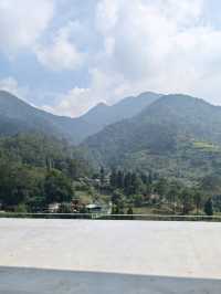 stay with view