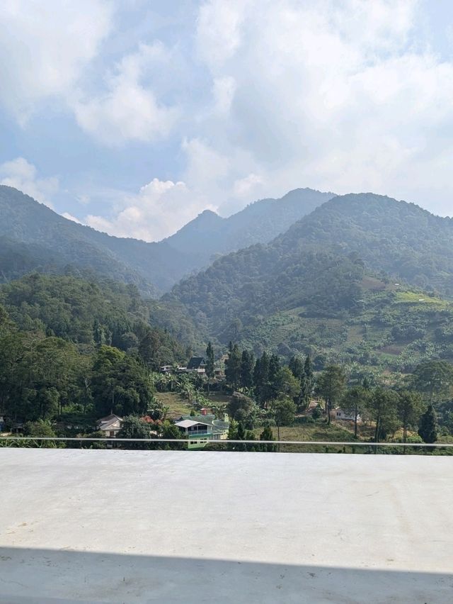 stay with view